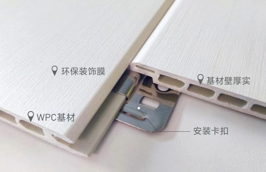 白菜资源网-白菜导航大全