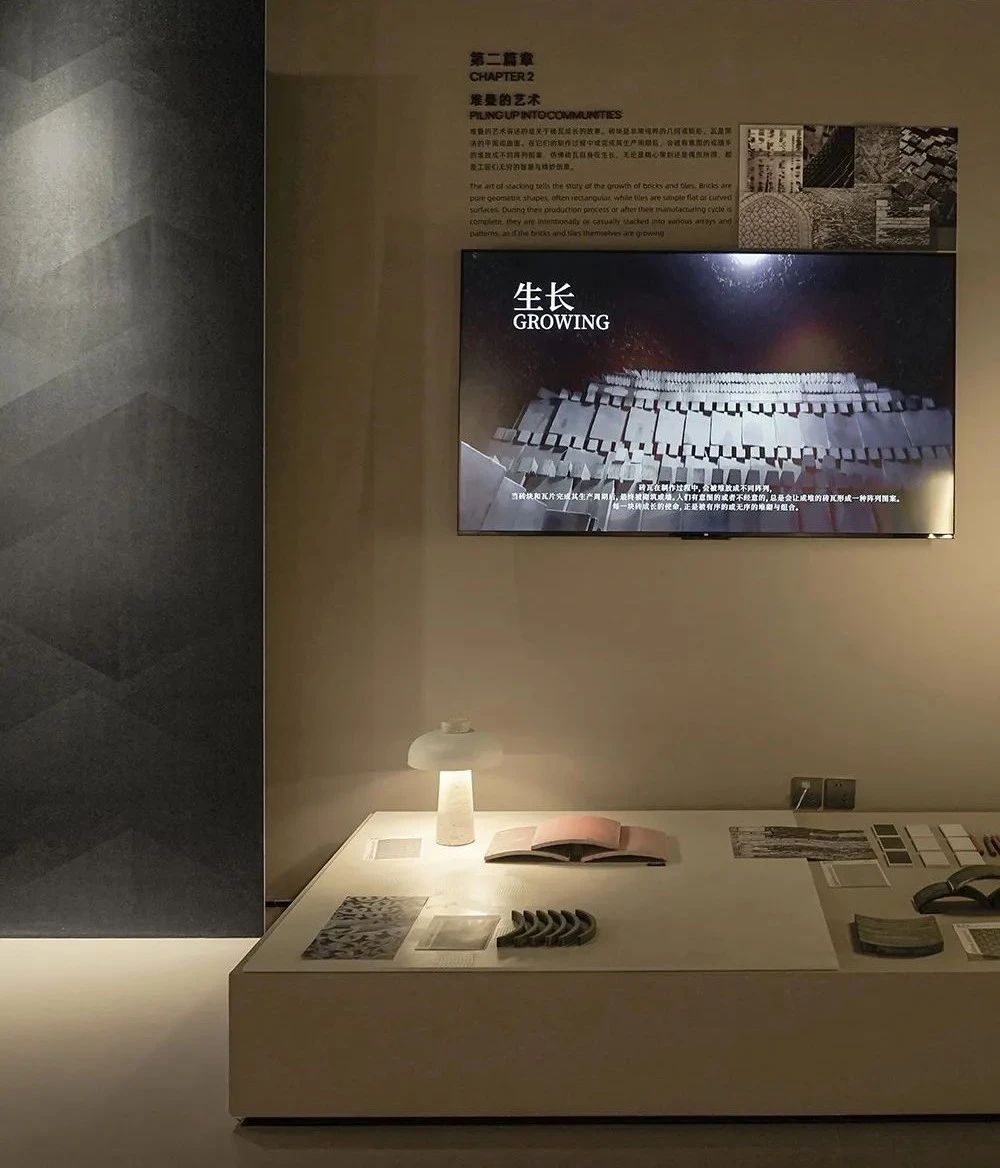 白菜资源网-白菜导航大全