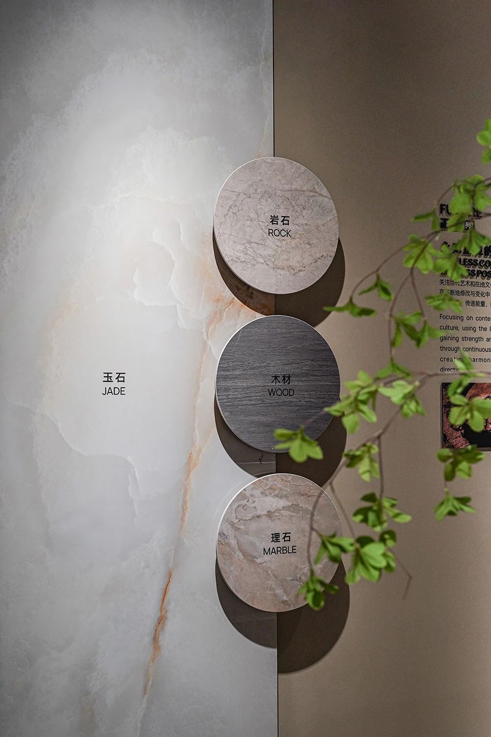 白菜资源网-白菜导航大全