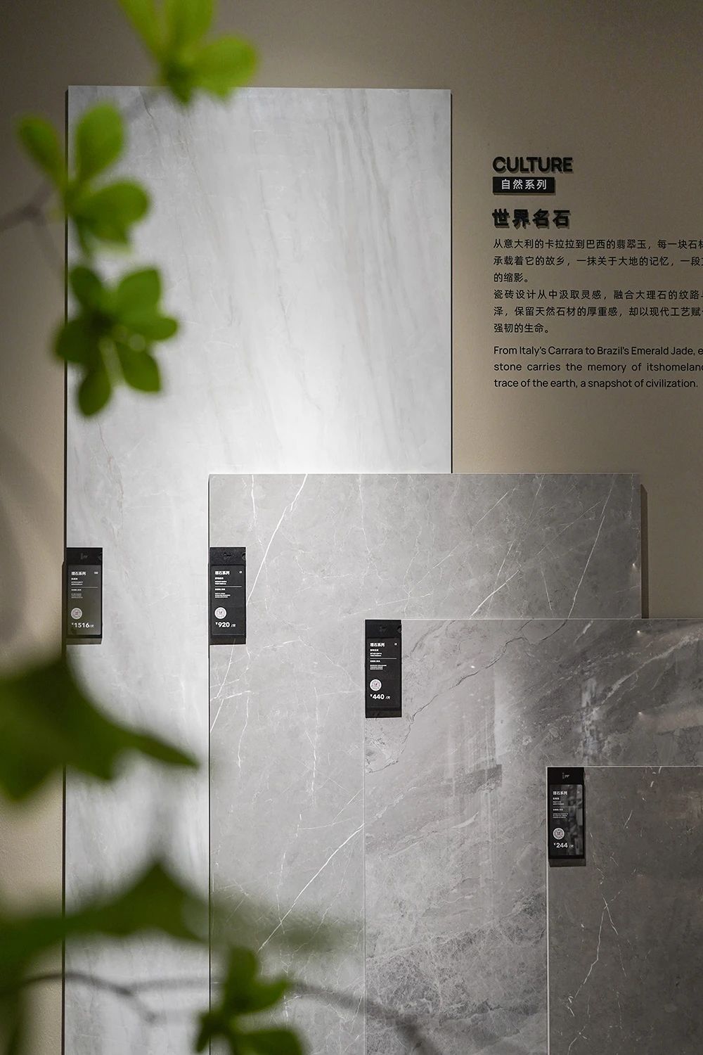 白菜资源网-白菜导航大全