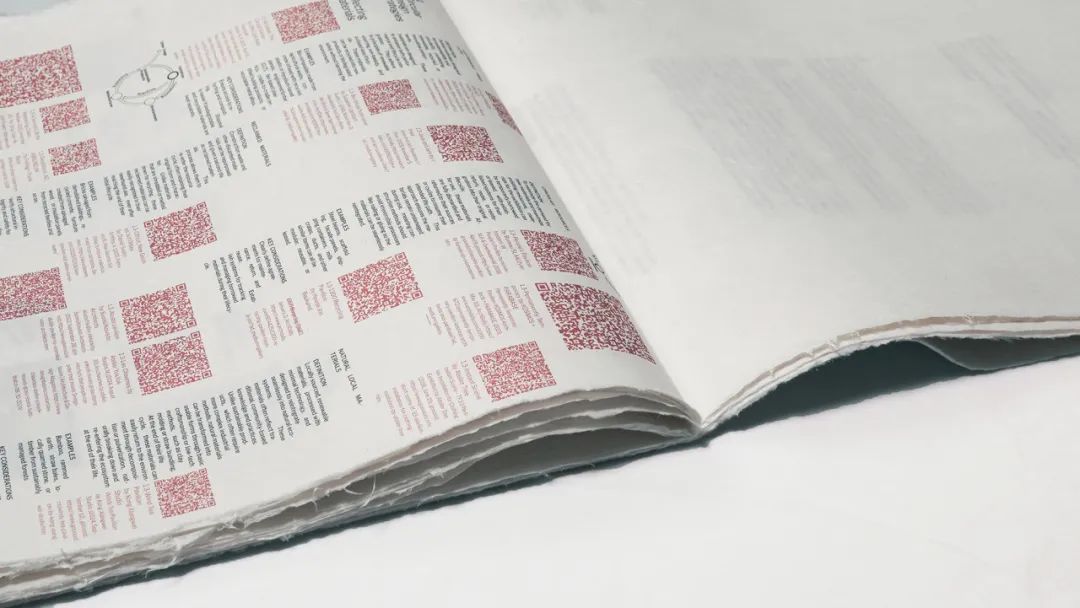 白菜资源网-白菜导航大全