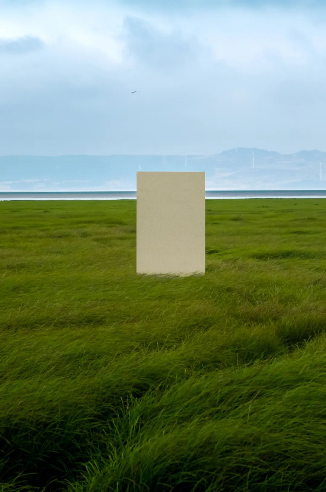 白菜资源网-白菜导航大全